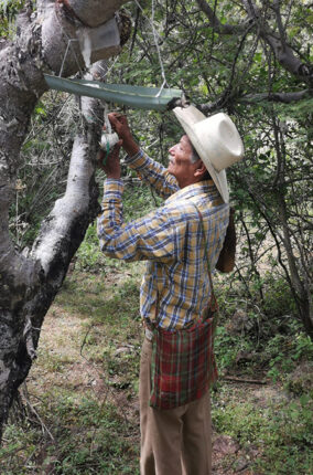 EL COPAL Y LOS COPALEROS PARTE 1