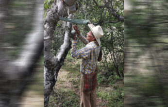 EL COPAL Y LOS COPALEROS PARTE 1