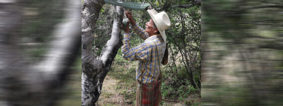 EL COPAL Y LOS COPALEROS PARTE 1