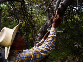 EL COPAL Y LOS COPALEROS PARTE 2