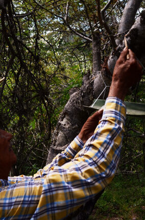 EL COPAL Y LOS COPALEROS PARTE 2