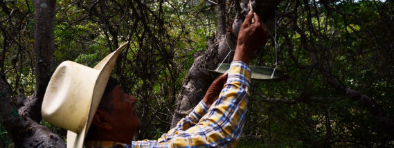 EL COPAL Y LOS COPALEROS PARTE 2