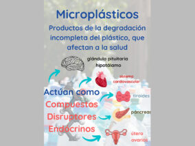 DETECCIÓN DE CONTAMINANTES DERIVADOS DE LOS MICROPLÁSTICOS EN EL AGUA EMBOTELLADA