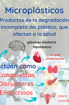 DETECCIÓN DE CONTAMINANTES DERIVADOS DE LOS MICROPLÁSTICOS EN EL AGUA EMBOTELLADA