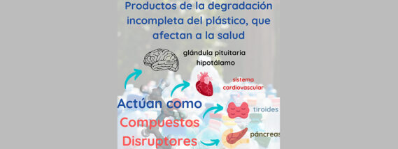 DETECCIÓN DE CONTAMINANTES DERIVADOS DE LOS MICROPLÁSTICOS EN EL AGUA EMBOTELLADA