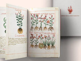 PLANTAS Y ENFERMEDADES EN EL CÓDICE CRUZ-BADIANO DE 1552