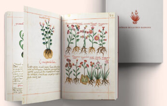 PLANTAS Y ENFERMEDADES EN EL CÓDICE CRUZ-BADIANO DE 1552