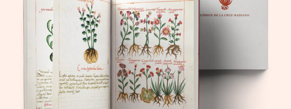PLANTAS Y ENFERMEDADES EN EL CÓDICE CRUZ-BADIANO DE 1552