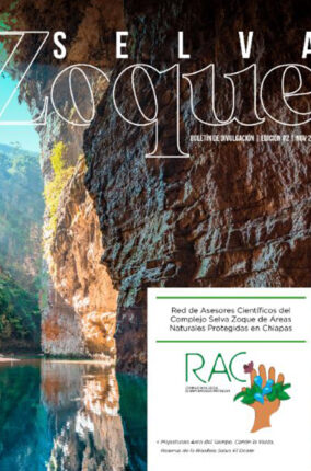 EL BOLETÍN “SELVA ZOQUE»
