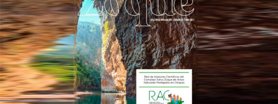 EL BOLETÍN “SELVA ZOQUE»