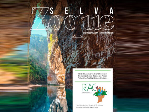 EL BOLETÍN “SELVA ZOQUE»