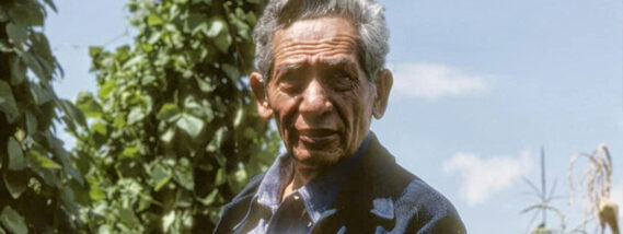 EL MAESTRO EFRAÍM HERNÁNDEZ XOLOCOTZI: PILAR DE LA CIENCIA MEXICANA PARTE 2