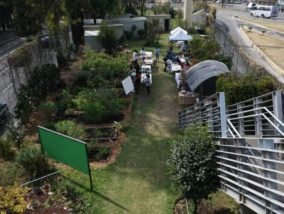 AGRICULTURA URBANA Y LOS HUERTOS FAMILIARES