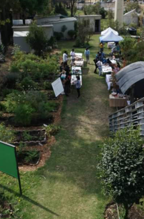 AGRICULTURA URBANA Y LOS HUERTOS FAMILIARES