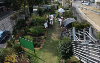 AGRICULTURA URBANA Y LOS HUERTOS FAMILIARES
