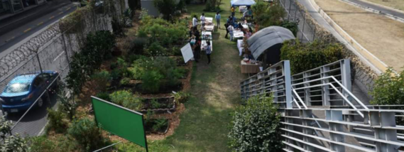 AGRICULTURA URBANA Y LOS HUERTOS FAMILIARES