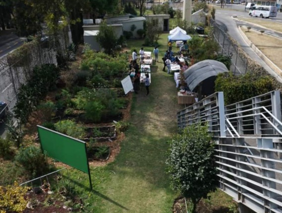 AGRICULTURA URBANA Y LOS HUERTOS FAMILIARES