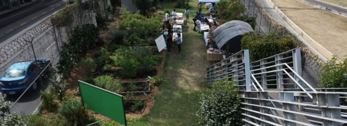 AGRICULTURA URBANA Y LOS HUERTOS FAMILIARES