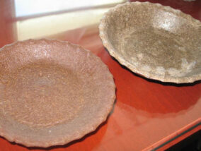 MATERIALES BIODEGRADABLES COMO SUBSTITUTOS DE LOS PLÁSTICOS PARTE 2