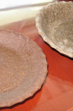 MATERIALES BIODEGRADABLES COMO SUBSTITUTOS DE LOS PLÁSTICOS PARTE 2