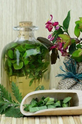 INSECTICIDAS VEGETALES Y PREPARADOS PARA FORTALECER LOS CULTIVOS