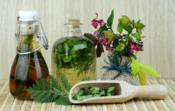 INSECTICIDAS VEGETALES Y PREPARADOS PARA FORTALECER LOS CULTIVOS