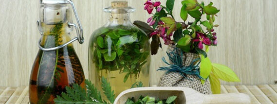 INSECTICIDAS VEGETALES Y PREPARADOS PARA FORTALECER LOS CULTIVOS