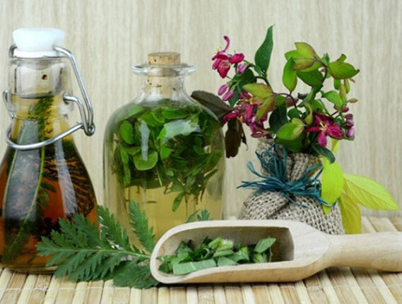 INSECTICIDAS VEGETALES Y PREPARADOS PARA FORTALECER LOS CULTIVOS