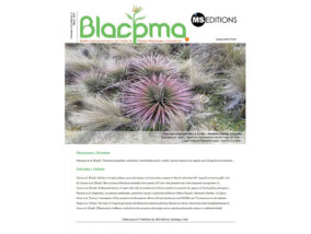 VEINTE AÑOS DEL BOLETÍN LATINOAMERICANO Y DEL CARIBE DE PLANTAS MEDICINALES