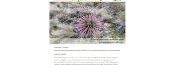 VEINTE AÑOS DEL BOLETÍN LATINOAMERICANO Y DEL CARIBE DE PLANTAS MEDICINALES