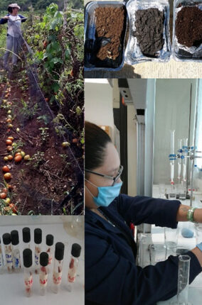 FAUNA SILVESTRE DE CAMPECHE: APROVECHAMIENTO Y CONTAMINACIÓN POR PLAGUICIDAS