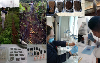 FAUNA SILVESTRE DE CAMPECHE: APROVECHAMIENTO Y CONTAMINACIÓN POR PLAGUICIDAS