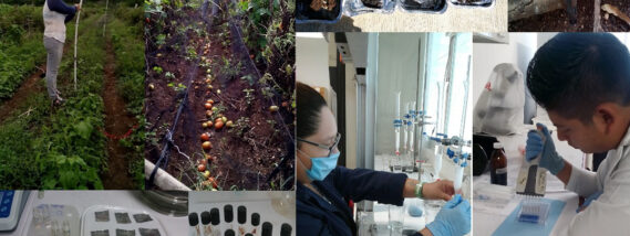 FAUNA SILVESTRE DE CAMPECHE: APROVECHAMIENTO Y CONTAMINACIÓN POR PLAGUICIDAS