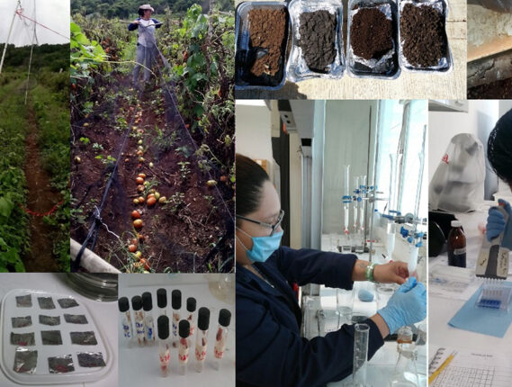 FAUNA SILVESTRE DE CAMPECHE: APROVECHAMIENTO Y CONTAMINACIÓN POR PLAGUICIDAS