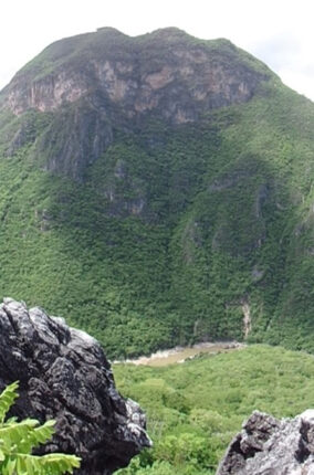NUEVA POBLACIÓN DE LA GUACAMAYA VERDE EN OAXACA