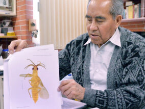 LAS LUCIÉRNAGAS PARTE 2