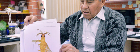 LAS LUCIÉRNAGAS PARTE 2