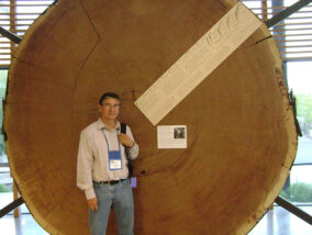 ÁRBOLES LONGEVOS DE MÉXICO PARTE 2