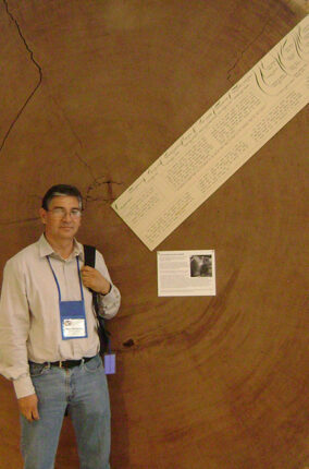 ÁRBOLES LONGEVOS DE MÉXICO PARTE 2