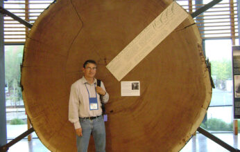 ÁRBOLES LONGEVOS DE MÉXICO PARTE 2