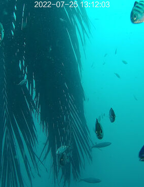 SATÉLITES Y DRONES EN EL ESTUDIO DE LOS ECOSISTEMAS MARINOS Y COSTEROS