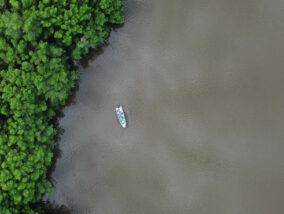 LA PERCEPCIÓN REMOTA EN EL ESTUDIO DE LA TIERRA