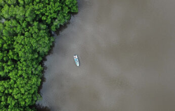 LA PERCEPCIÓN REMOTA EN EL ESTUDIO DE LA TIERRA
