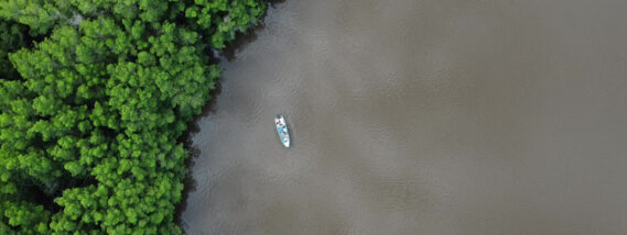 LA PERCEPCIÓN REMOTA EN EL ESTUDIO DE LA TIERRA
