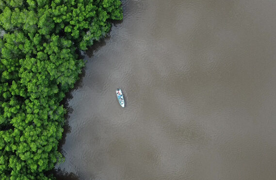 LA PERCEPCIÓN REMOTA EN EL ESTUDIO DE LA TIERRA