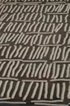 CHAPULINES COMO FUENTE DE PROTEÍNA PARTE 2