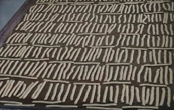 CHAPULINES COMO FUENTE DE PROTEÍNA PARTE 2