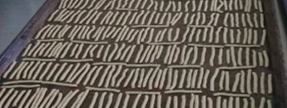 CHAPULINES COMO FUENTE DE PROTEÍNA PARTE 2