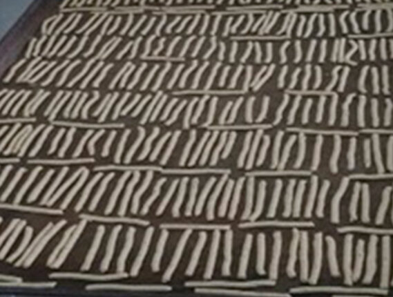 CHAPULINES COMO FUENTE DE PROTEÍNA PARTE 2