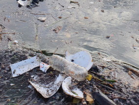 LOS MICROPLÁSTICOS: UN PROBLEMA EN CRECIMIENTO